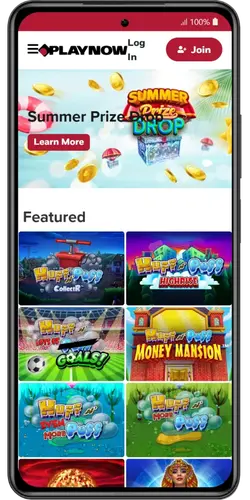 PlayNow Review games and providers