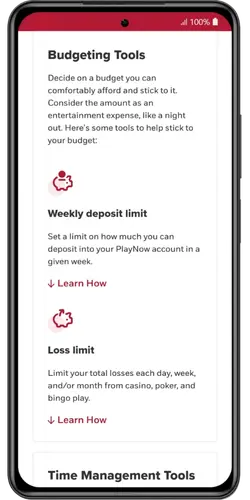 PlayNow Test the RG tools